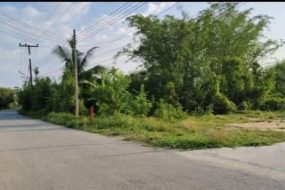 出售地皮-泰国-清迈-288-平方米-0-01