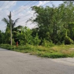 出售地皮-泰国-清迈-288-平方米-0-01