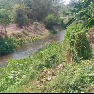 出售地皮-泰国-清迈-304-平方米-179.35-01