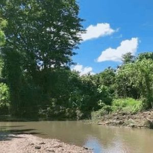 出售地皮-泰国-清迈-304-平方米-197.38-01