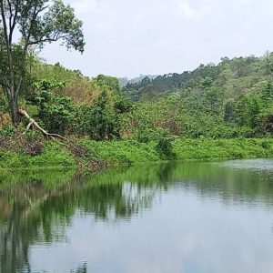 出售地皮-泰国-清迈-30400-平方米-0-01