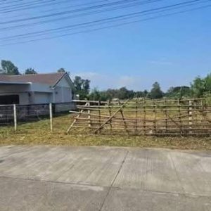 出售地皮-泰国-清迈-316-平方米-147.03-01