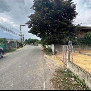 出售地皮-泰国-清迈-320-平方米-148.95-01