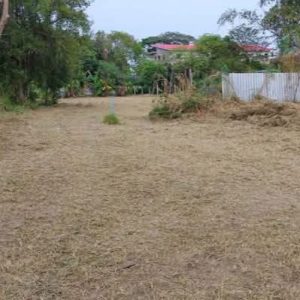 出售地皮-泰国-清迈-320-平方米-202.52-01