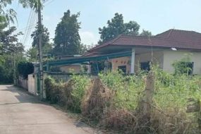 出售地皮-泰国-清迈-320-平方米-251.8-01