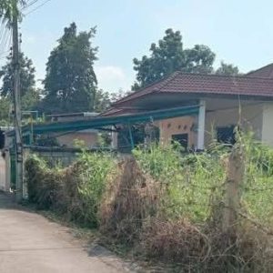 出售地皮-泰国-清迈-320-平方米-251.8-01