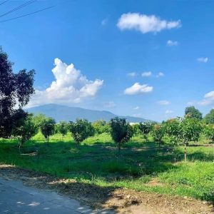 出售地皮-泰国-清迈-3200-平方米-160.72-01