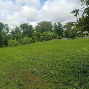 出售地皮-泰国-清迈-3200-平方米-91.09-01