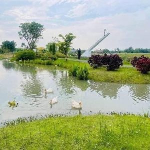 出售地皮-泰国-清迈-3200000-平方米-0-01