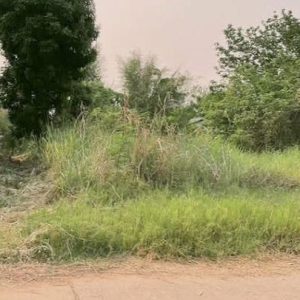 出售地皮-泰国-清迈-344-平方米-154.49-01