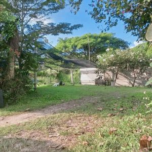 出售地皮-泰国-清迈-352-平方米-262.03-01