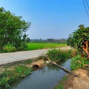 出售地皮-泰国-清迈-3592-平方米-25.72-01