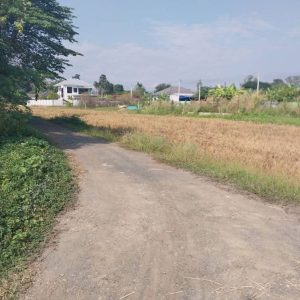 出售地皮-泰国-清迈-360-平方米-132.4-01