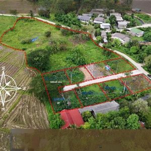 出售地皮-泰国-清迈-388-平方米-45.55-01