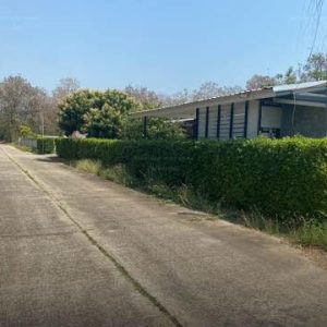 出售地皮-泰国-清迈-392-平方米-86.6-01