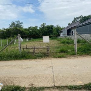 出售地皮-泰国-清迈-400-平方米-162.86-01