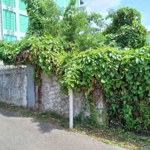 出售地皮-泰国-清迈-400-平方米-424.29-01