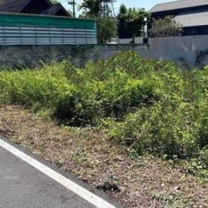 出售地皮-泰国-清迈-404-平方米-335.23-01