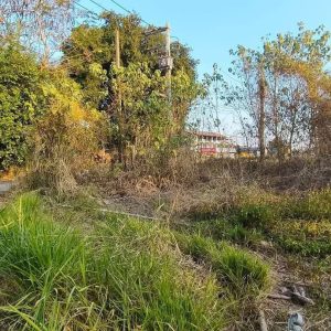 出售地皮-泰国-清迈-416-平方米-185.46-01