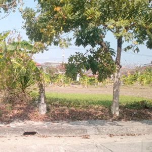 出售地皮-泰国-清迈-416-平方米-370.89-01