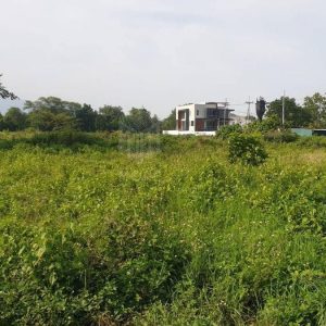 出售地皮-泰国-清迈-4164-平方米-64.29-01