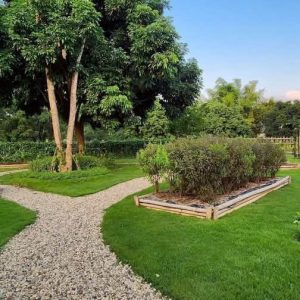 出售地皮-泰国-清迈-41664-平方米-0-01