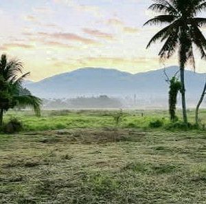 出售地皮-泰国-清迈-4224-平方米-60.89-01