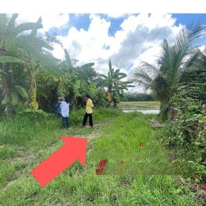 出售地皮-泰国-清迈-432-平方米-865.09-01