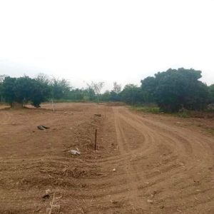 出售地皮-泰国-清迈-43200-平方米-0-01