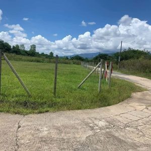 出售地皮-泰国-清迈-43384-平方米-13.06-01