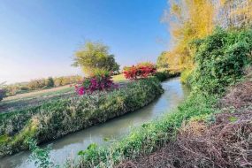 出售地皮-泰国-清迈-43472-平方米-0-01