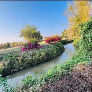 出售地皮-泰国-清迈-43472-平方米-0-01