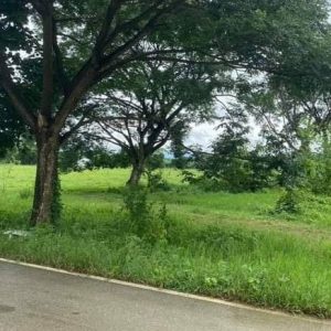 出售地皮-泰国-清迈-444-平方米-169.89-01