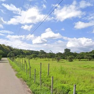 出售地皮-泰国-清迈-44800-平方米-21.43-01