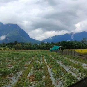 出售地皮-泰国-清迈-44800-平方米-3.46-01