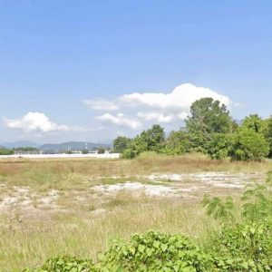 出售地皮-泰国-清迈-46448-平方米-13.66-01