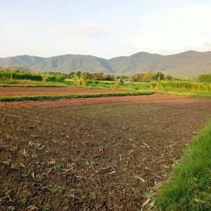 出售地皮-泰国-清迈-4800-平方米-0-01