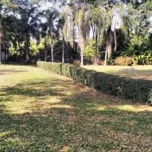 出售地皮-泰国-清迈-48000-平方米-0-01