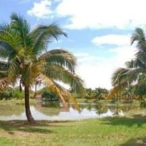 出售地皮-泰国-清迈-48000-平方米-32.15-01