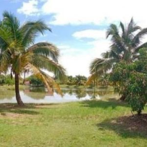 出售地皮-泰国-清迈-48000-平方米-35-01