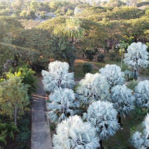 出售地皮-泰国-清迈-48000-平方米-428.58-01