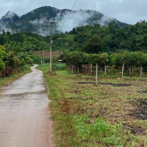 出售地皮-泰国-清迈-4892-平方米-11.23-01