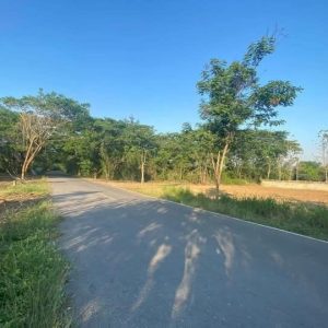 出售地皮-泰国-清迈-492-平方米-0-01