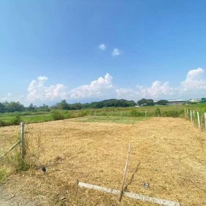 出售地皮-泰国-清迈-492-平方米-174.23-01