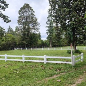 出售地皮-泰国-清迈-500-平方米-0-01