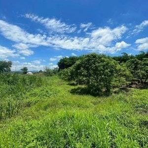 出售地皮-泰国-清迈-51480-平方米-2.69-01