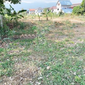 出售地皮-泰国-清迈-5324-平方米-300-01