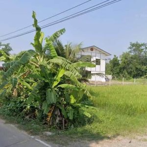 出售地皮-泰国-清迈-5344-平方米-44.29-01