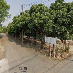 出售地皮-泰国-清迈-552-平方米-0-01