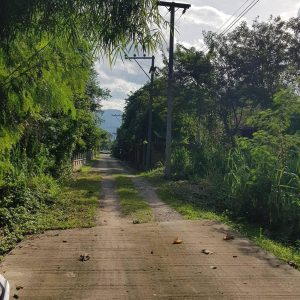 出售地皮-泰国-清迈-5524-平方米-171.43-01